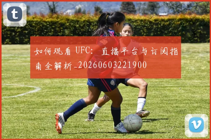 如何观看 UFC:直播平台与订阅指南全解析_20260603221900