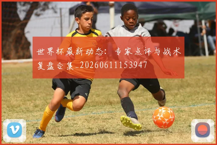 世界杯最新动态：专家点评与战术复盘合集_20260611153947