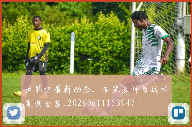 世界杯最新动态:专家点评与战术复盘合集_20260611153947